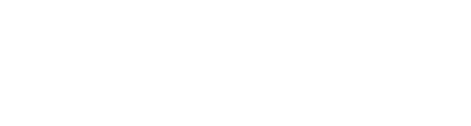 Best Computer Solutions | Pellescom